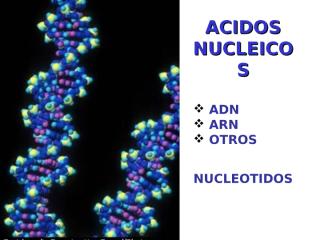 ACIDOS_NUCLEICOS.PPT